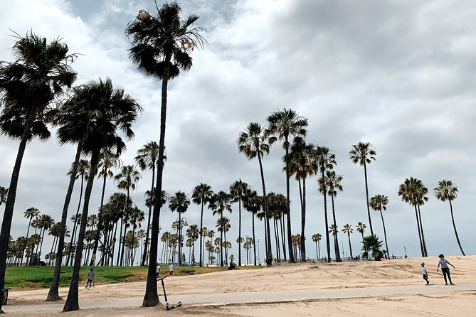 Bike Adventure Tour in Beverly Hills, Santa Monica and Venice - What to Expect