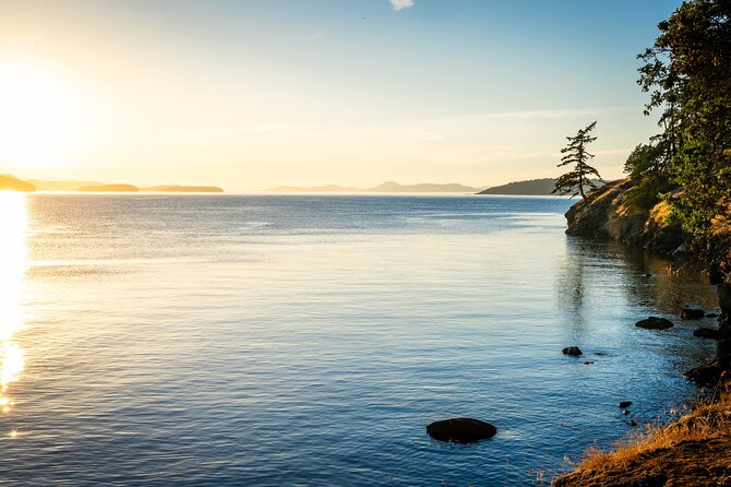 Bioluminescence and Sunset Kayak Tour Review - The Scenic Journey