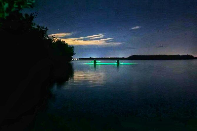 Bioluminescent Comb Jelly & LED Kayak / Paddle Board Excursion - Safety Considerations and Equipment Provided