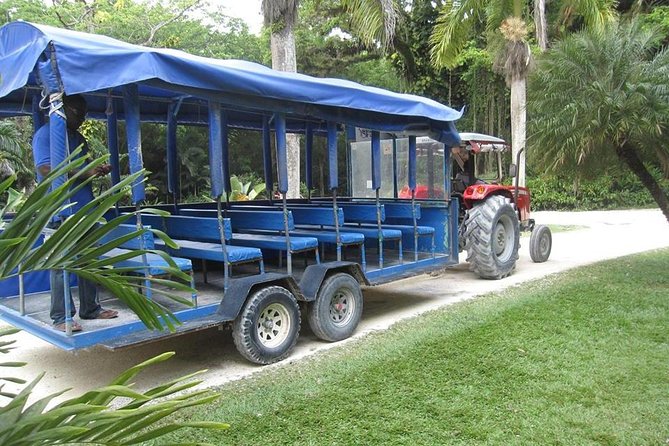 Black River Safari & YS Falls Tour From Runaway Bay - Frequently Asked Questions