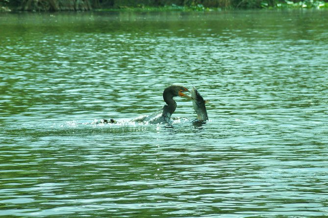 Blue Springs Manatee Tours & Wildlife Adventure Review - Meeting and Accessibility Details