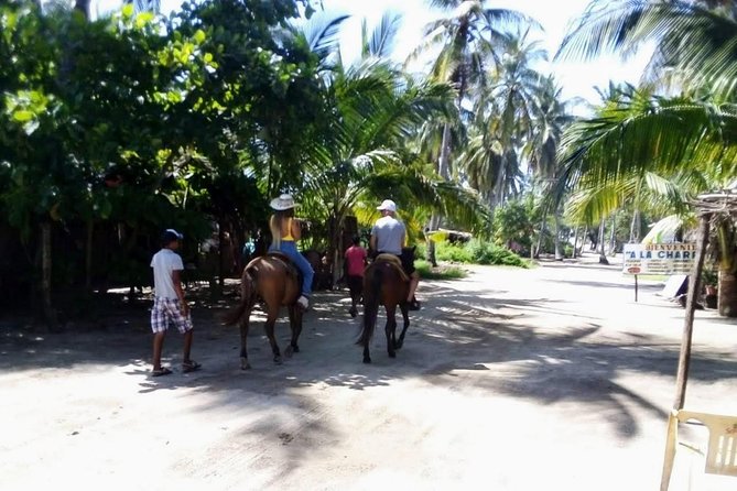 Boat Ride-Gentle Beach Beach Horseback Ride+Lunch-Crocs-Turtles - Delicious Dining Options