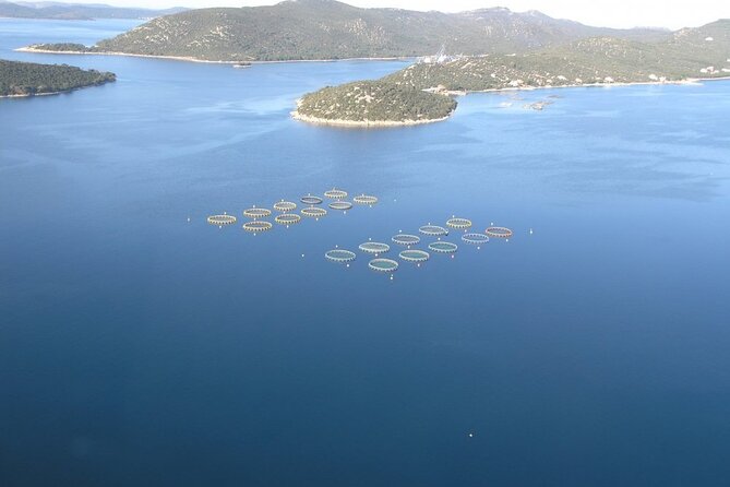Boat Trip From Biograd Na Moru to Kornati National Park - Traveler Reviews and Ratings