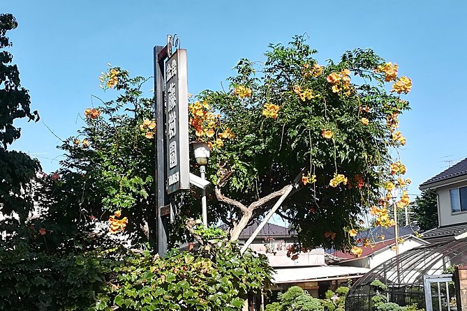 Bonsai Museum & Bonsai Experience - Accessibility and Health Recommendations