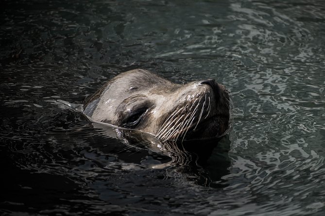 Cabo Wildlife SAFARI - Health and Safety Considerations