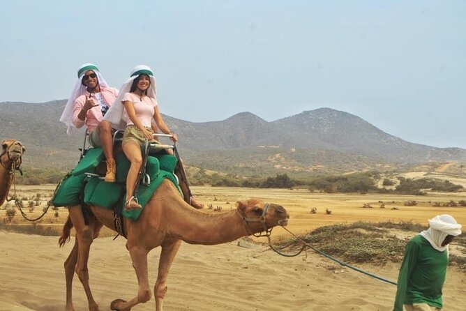 Cactus Combo Combine Two of Your Favorite Desert Tours - Tips for an Enjoyable Tour