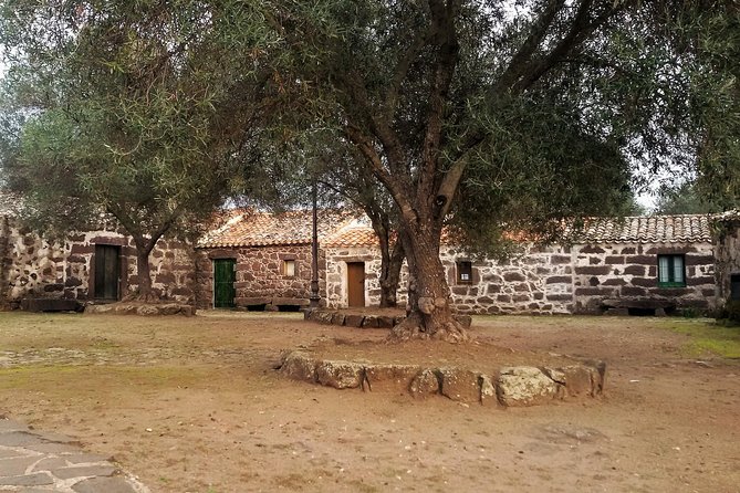 Cagliari: Well Temple and Cabras Museum - Visitor Tips and Recommendations