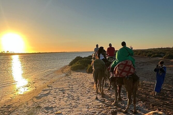 Camel Ride in Agadir & Options at Sunset & Barbecue With Couscous - Pricing and Cancellation
