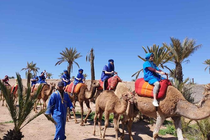 Camel Ride in the Palm Grove of Marrakech - Booking Process and Options