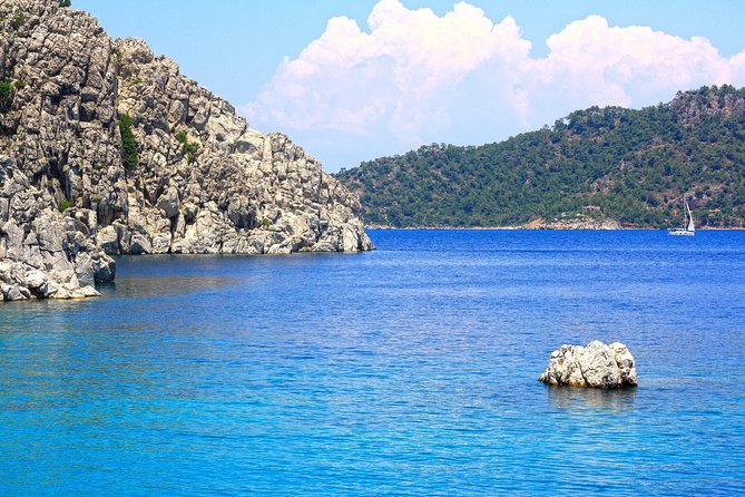 Camellia Island Boat Trip - What to Expect on the Excursion