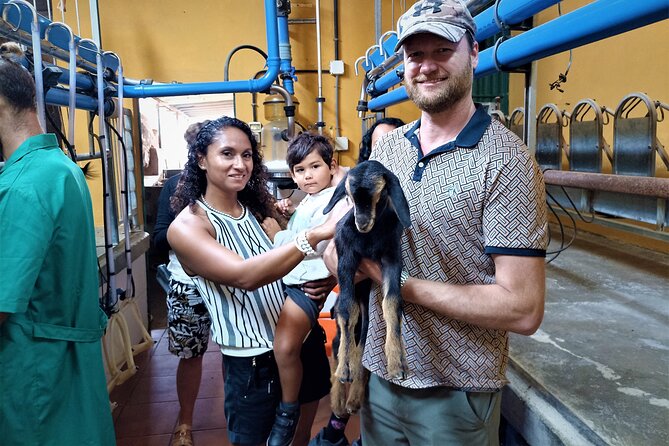 Canarian Animal Farm Car Tour. Goat Cheese and Local Wine. - Tasting Local Wines