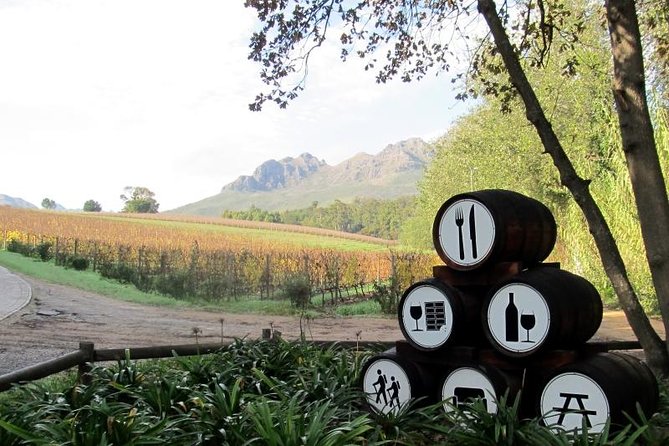 Cape Winelands Guided Day Tour From Cape Town - Important Travel Information