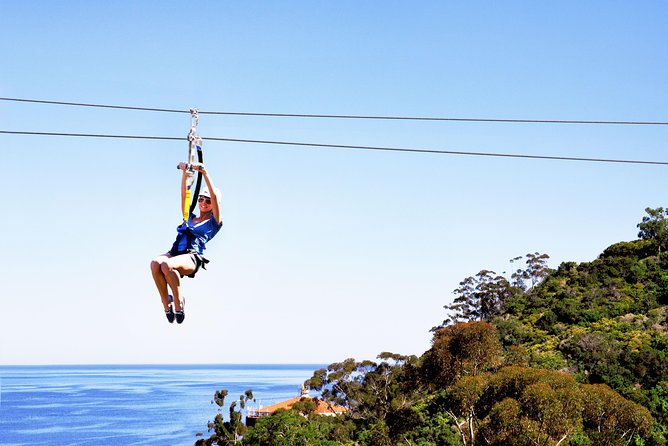 Catalina Island Day Trip From Anaheim With Zipline Adventure - Tips for a Great Experience