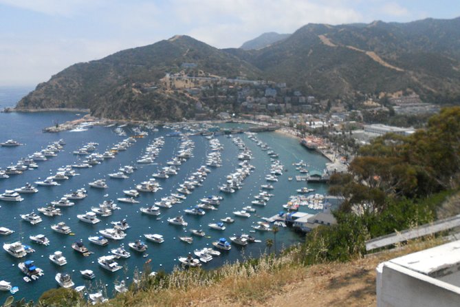 Catalina Island Scavenger Hunt Adventure - What to Bring Along