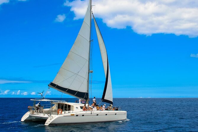 Catamaran Fullday Guided Tour to Ile Aux Cerfs From Pointe Jerome - Important Booking Information