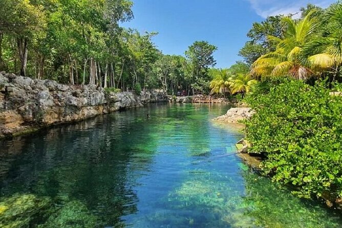 Cenotes Casa Tortugas Tour - Traveler Experiences and Reviews