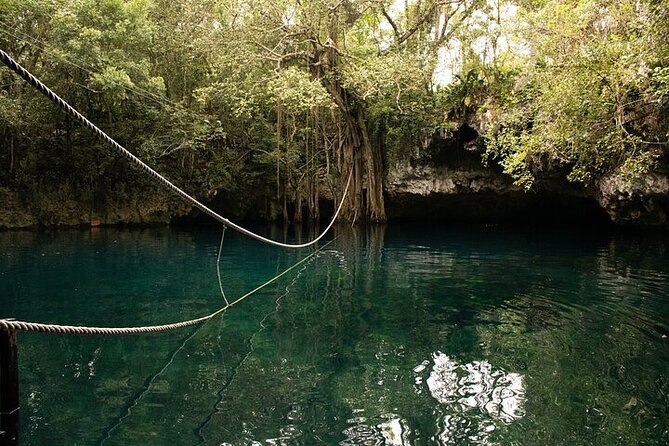 Cenotes Excursion Natures Paradise 45 Minutes From Cancun! - Travelers Experiences