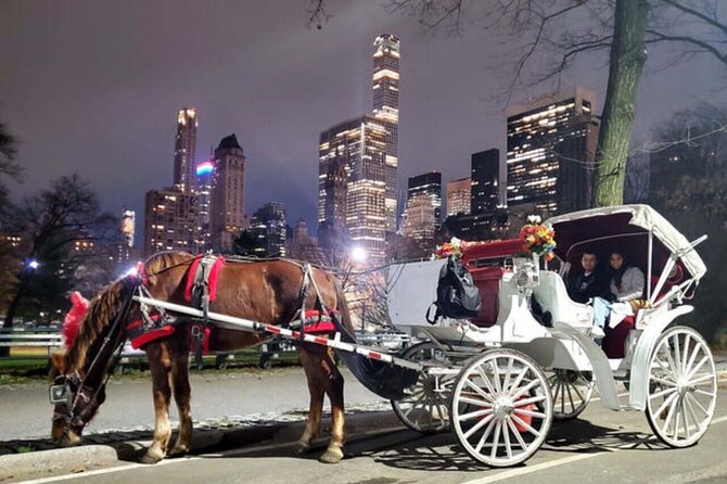 Central Park and NYC Horse Carriage Ride Review - Ride Inclusions and Amenities