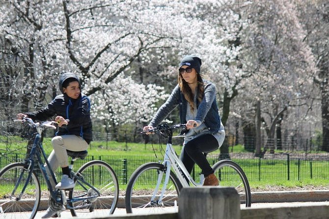 Central Park Bike Hire - Customer Reviews and Ratings