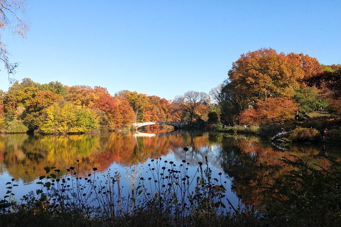 Central Park Walking Tour: Scandal and Vice - Debauchery and Decadence: A Tour of Central Parks Scandalous Hot Spots