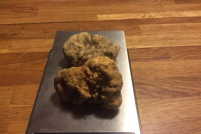 Cesarine: Truffle Hunt & Cooking Class With a Local in Asti - Booking Details and Pricing