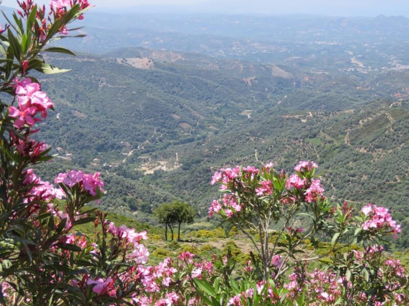 Chania: Nature Road Trip With Botanical Garden and Lunch! - Scenic Drive to Zourva