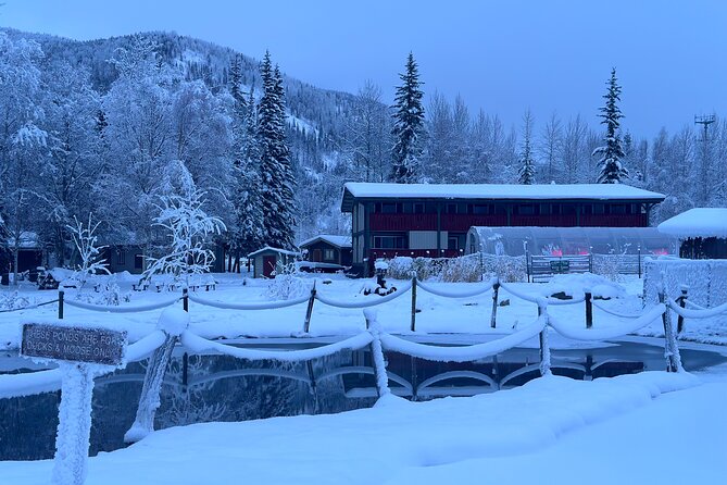 Chena Hot Spring Day Tour - Highlights of the Tour