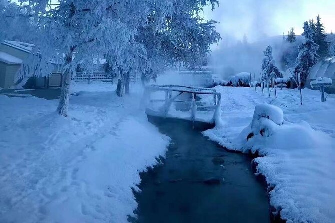 Chena Hot Springs Day Tour Review - Pros and Cons