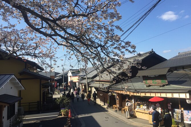 Cherry Blossom Buddha and Mt.Yoshino With Strawberry Picking Tour - Travel Considerations and Guidelines
