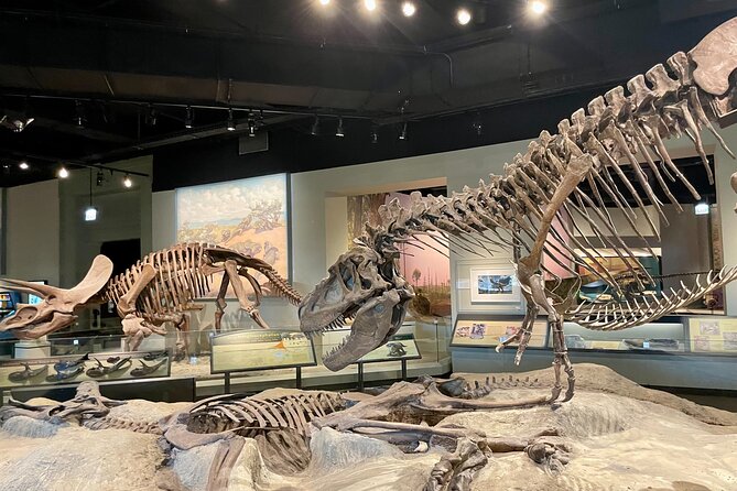 Chicago Field Museum of Natural History Semi-Private Guided Tour - Important Additional Information