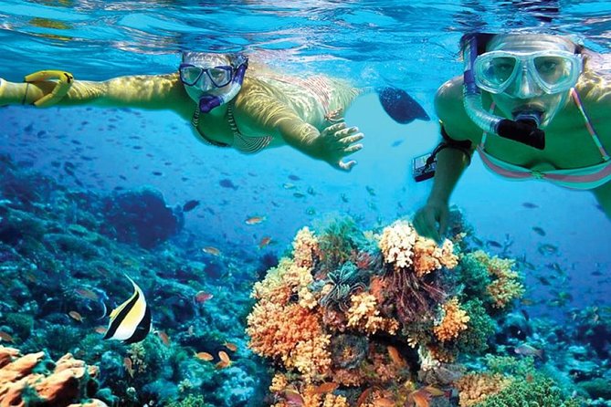 Chichen Itza Early Access & Catamaran to Isla Mujeres - Customer Feedback Insights