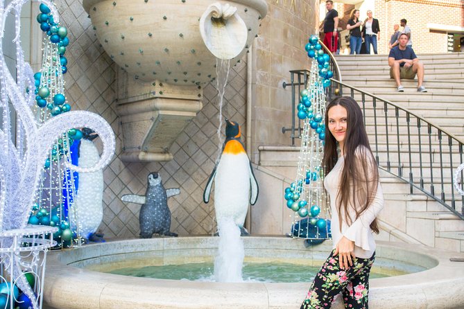 Christmas Lights in Beverly Hills Review - Our Experience and Recommendation