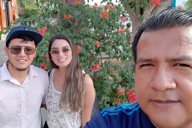 City Tour Todos Santos and Tequila Tasting - Traveler Experiences
