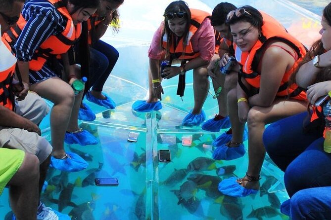 Clear Boat Ride in Los Cabos - Customer Experiences