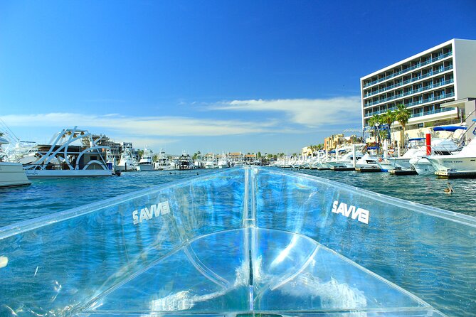Clear Boat to Cabo Lands End, the Arch and More - Customer Reviews
