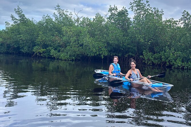 Clear Kayak John D. Macarthur State Park W/ Guide Singer Island - Wildlife and Scenery to Expect