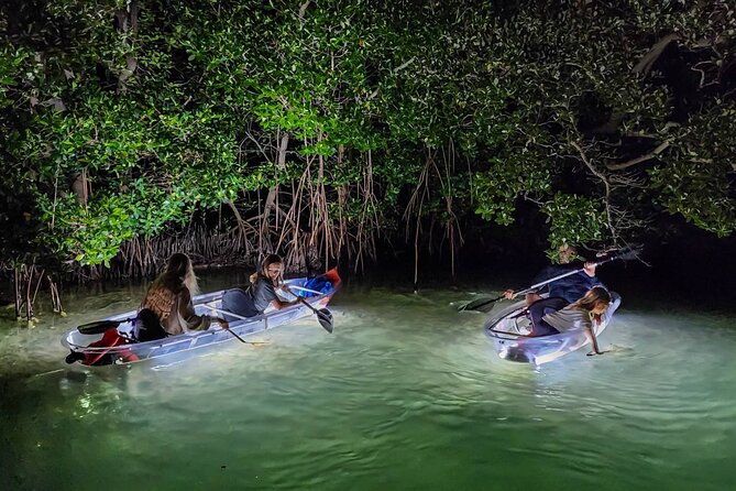 Clear Kayak LED Night Glass Bottom Tour - Sarasota - Guided Tour and Educational Insights