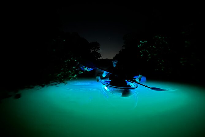 CLEAR Kayak Sunset & Light Tour - Bonita Springs / Ft Myers Beach - Customer Feedback