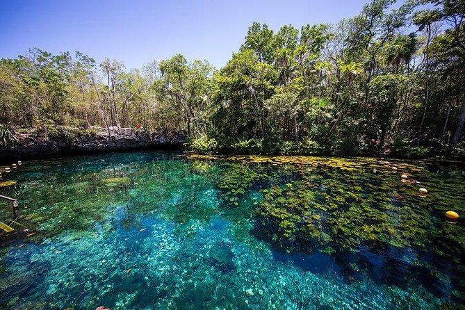 Coba & Zipline, Rappel and Cenote Snorkeling - Accessibility Features