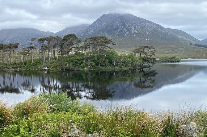 Connemara, Kylemore Abbey & Castles Tour From Galway - Positive Reviews and Ratings