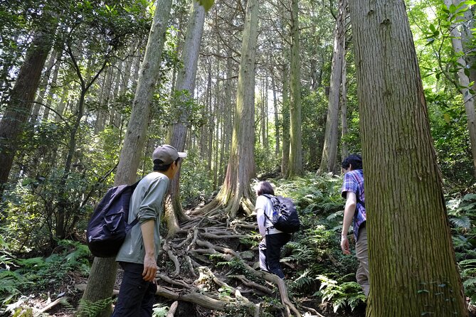 Countryside Walking & Mountain Hiking in Organic Town Near Tokyo - Embracing the Authentic Japanese Culture