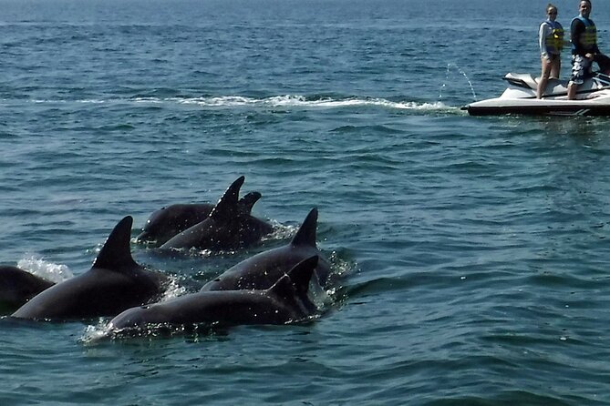 Crab Island Dolphin Jetski Adventure - Customer Feedback and Ratings