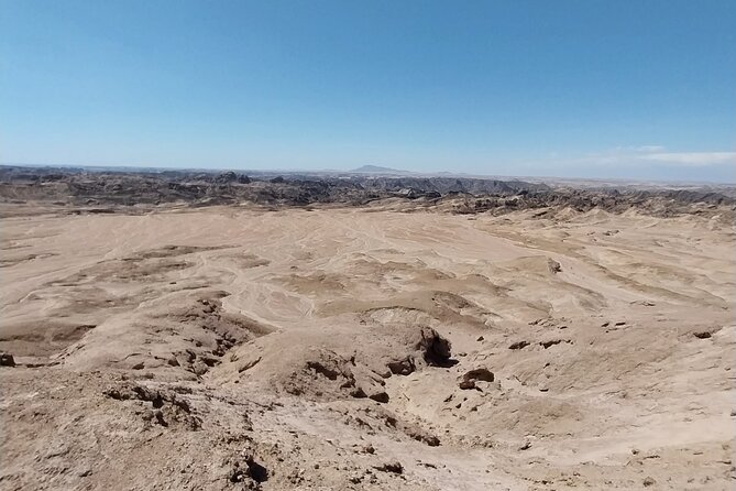 Cruise Liner Special: Swakopmund and Namib Desert Highlights - Frequently Asked Questions