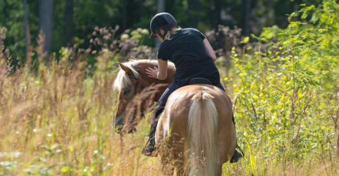 Cruseilles: Horseback Riding in the Countryside - Duration and Pricing