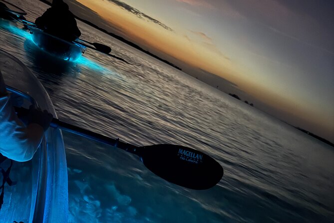 Crystal River Sunset and Glow Kayak Tour Review - Final Thoughts and Recommendations