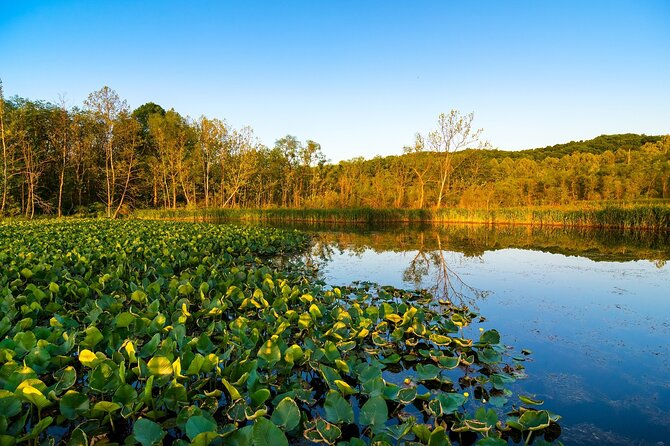 Cuyahoga Valley and Indiana Dunes Audio Tour Guide - User Experience and Feedback