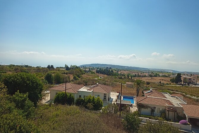 Cyprus BBQ Grilling Class at a Wine Village Villa in Paphos - Savoring the Menu