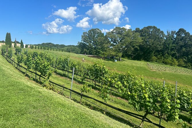 Dahlonega Wine & Dine Private Tour From Atlanta - Pricing and Booking Information