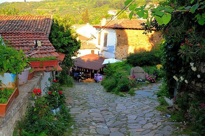Daily Trip to Ephesus Ancient City, Sirince Village, Temple of Artemis - Health and Accessibility Considerations
