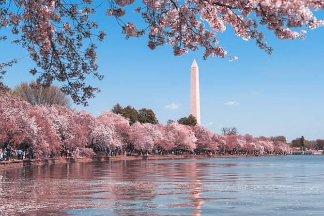 Day or Night Private DC Monuments Tour | Luxury Stretch Limo - Pickup and Meeting Details for Your Convenience